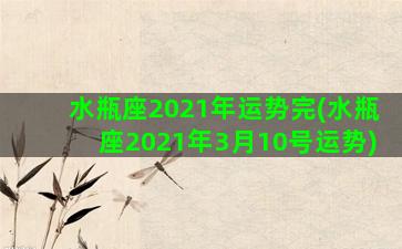 水瓶座2021年运势完(水瓶座2021年3月10号运势)