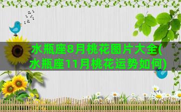 水瓶座8月桃花图片大全(水瓶座11月桃花运势如何)