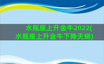 水瓶座上升金牛2022(水瓶座上升金牛下降天蝎)