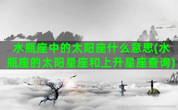 水瓶座中的太阳座什么意思(水瓶座的太阳星座和上升星座查询)