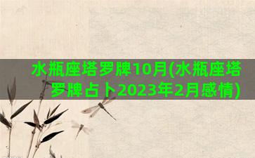 水瓶座塔罗牌10月(水瓶座塔罗牌占卜2023年2月感情)