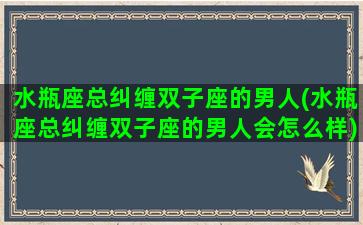 水瓶座总纠缠双子座的男人(水瓶座总纠缠双子座的男人会怎么样)