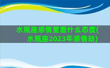 水瓶座感情里面什么态度(水瓶座2023年感情劫)