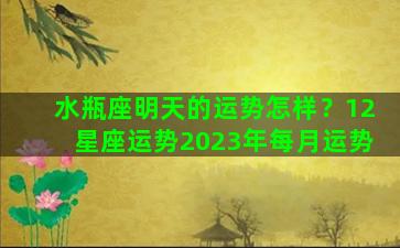 水瓶座明天的运势怎样？12星座运势2023年每月运势