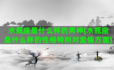 水瓶座是什么样的男神(水瓶座是什么样的性格特别对爱情方面)