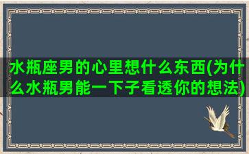 水瓶座男的心里想什么东西(为什么水瓶男能一下子看透你的想法)