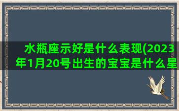 水瓶座示好是什么表现(2023年1月20号出生的宝宝是什么星座)