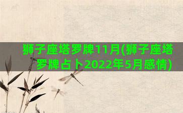 狮子座塔罗牌11月(狮子座塔罗牌占卜2022年5月感情)