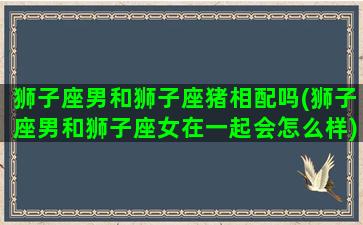 狮子座男和狮子座猪相配吗(狮子座男和狮子座女在一起会怎么样)