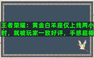 王者荣耀：黄金白羊座仅上线两小时，就被玩家一致好评，手感超棒直接金牌MVP，你认同吗