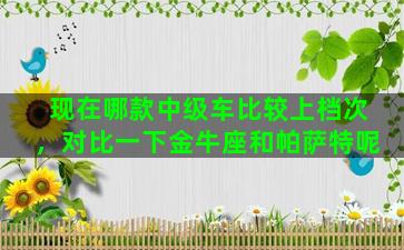 现在哪款中级车比较上档次，对比一下金牛座和帕萨特呢