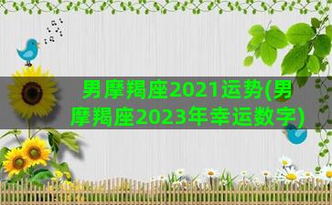 男摩羯座2021运势(男摩羯座2023年幸运数字)