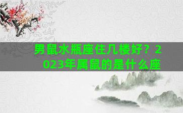 男鼠水瓶座住几楼好？2023年属鼠的是什么座