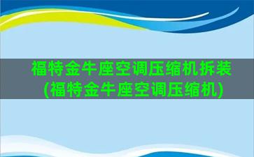 福特金牛座空调压缩机拆装(福特金牛座空调压缩机)