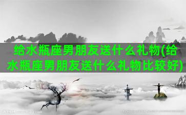 给水瓶座男朋友送什么礼物(给水瓶座男朋友送什么礼物比较好)