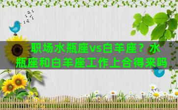 职场水瓶座vs白羊座？水瓶座和白羊座工作上合得来吗