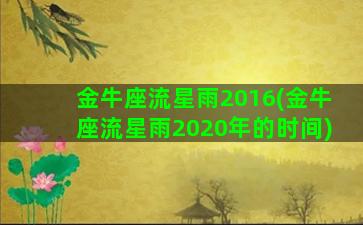 金牛座流星雨2016(金牛座流星雨2020年的时间)