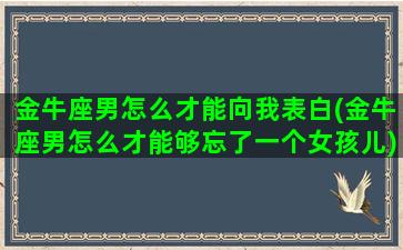 金牛座男怎么才能向我表白(金牛座男怎么才能够忘了一个女孩儿)