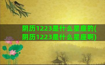 阴历1223是什么星座的(阴历1223是什么星座啊)